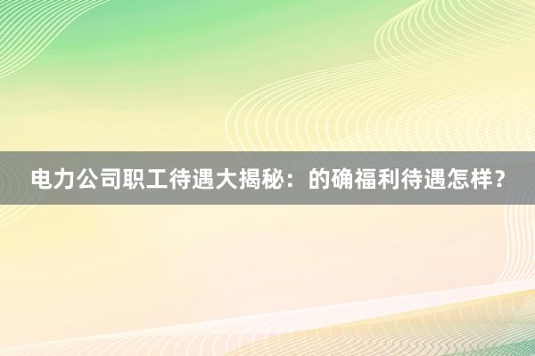 电力公司职工待遇大揭秘：的确福利待遇怎样？